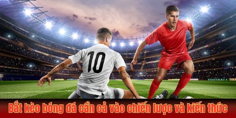 Bắt kèo bóng đá cần cả vào chiến lược và kiến thức