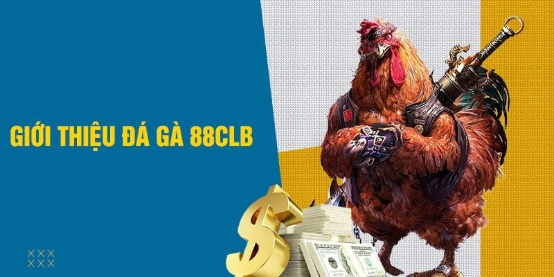 Giới thiệu sảnh chơi đá gà 88CLB