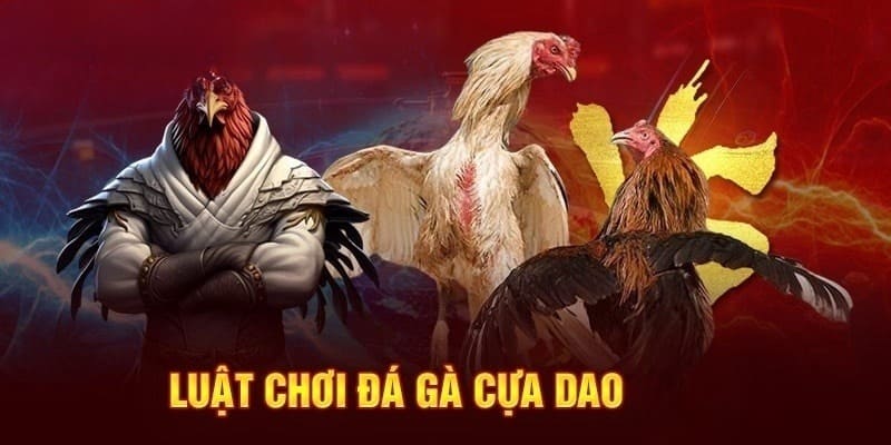 Đá gà cựa dao sở hữu luật chơi giản đơn cho tân thủ tham gia