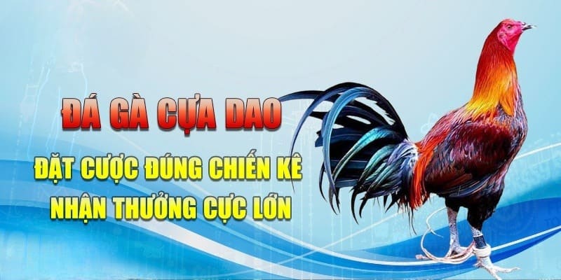 đá gà cựa dao 88clb