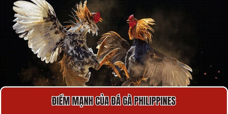 Điểm mạnh của đá gà Philippines
