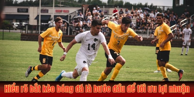 Hiểu rõ bắt kèo bóng đá là bước đầu để tối ưu lợi nhuận