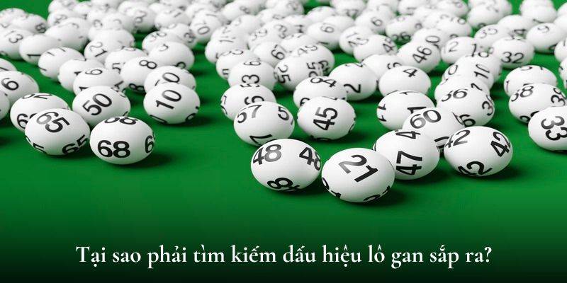 Tại sao phải tìm kiếm dấu hiệu lô gan sắp ra?